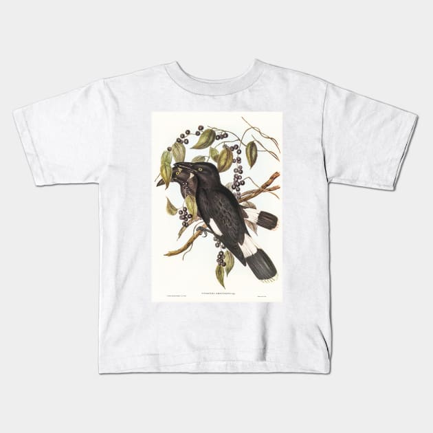 Great Crow-Shrike Kids T-Shirt by WAITE-SMITH VINTAGE ART